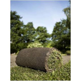 Rullegræs Alm Villahave 24-48 m²