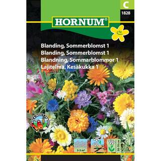 Blomsterblanding - Sommerblomst 1