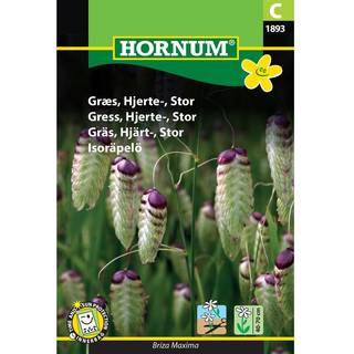 Hjertegræs frø - Stor hjertegræs