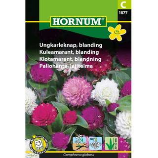 Ungkarleknap frø - Blanding