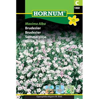 Brudeslør - Blomsterfrø