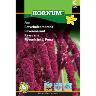 Rævehaleamarant frø - Vinrød