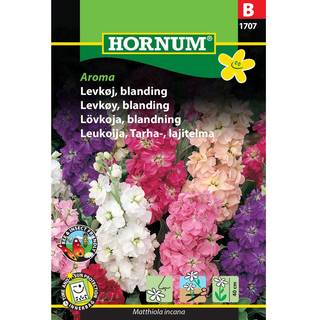 Levkøj blanding - Blomsterfrø