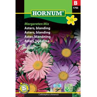 Asters Frø Mix - Margareten Mix