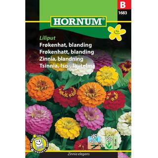 Frøkenhat blanding - Blomsterfrø