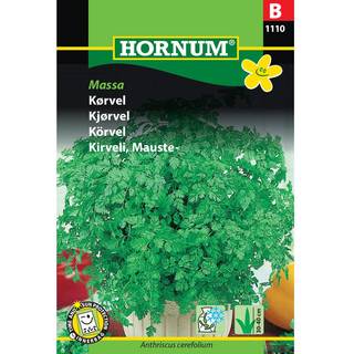 Kørvel frø - Kørvel Commun