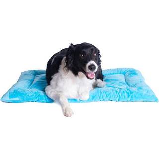 Armarkat Model M01CTL-L Stor k?ledyrseng Mat med poly fyldpude i himmelbl?