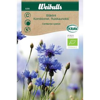 Kornblomst økologisk (På lager i butik)