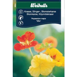 Blomsterfrø (Blomsterkarse /Tallerkensmækker 'Mix')