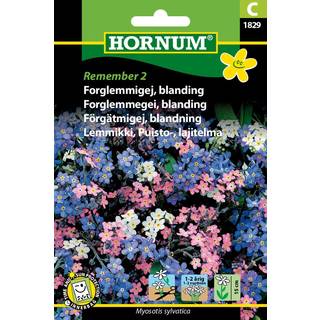 Forglemmigej blanding - Smukke sarte farver - Blomsterfrø