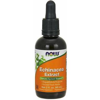 Echinacea Extract - 59 ml.