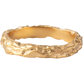 Enamel - Gaia ring i forgyldt sølv