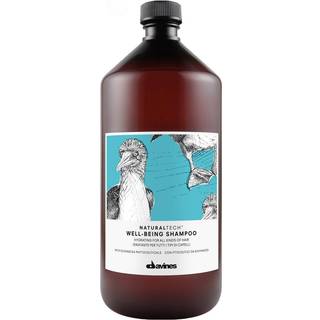 Davines Natural Tech Well Being Shampoo 1000ml