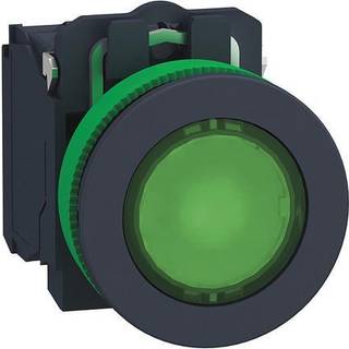 Schneider Lampetryk flush komp grøn led 110v no+nc