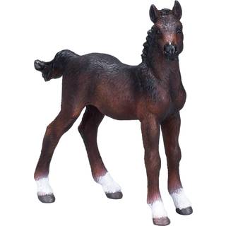 Mojo hanoverian Føl, Brun