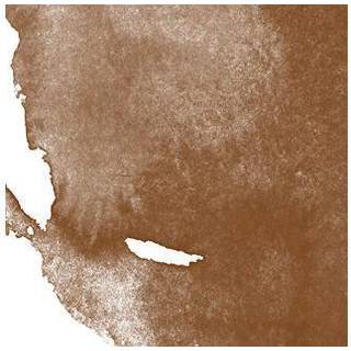 Aquafine Watercolor Ink Burnt Umber