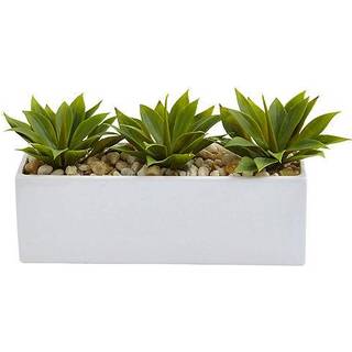 Agave saftig i rektangulær planter