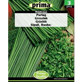 Purløg frø - Middleman