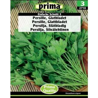 Persillefrø - Glatbladet eller bredbladet persille - krydderurt