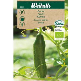 Agurkefrø (Cucumis sativus 'Sonja') Økologisk