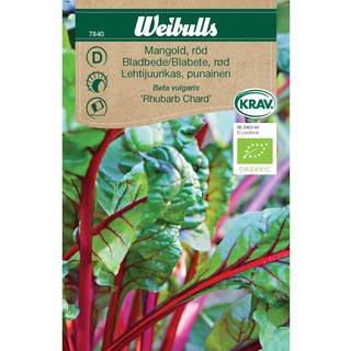 Bladbedefrø (Mangold Rød beta vulgaris 'Rhubarb Chard') Økologisk