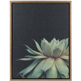Kate og Laurel Sylvie Succulent Plant indrammet l?rred v?gkunst botanisk gr?n med sort baggrund 18x24 guld