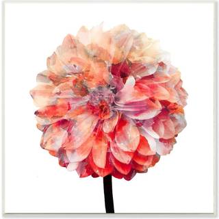 Stupell Industries Bright Coral Watercolor Bloom Dahlia Flower Wall Plaque Art 12 X 12 Multi-Color