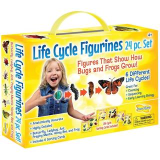 Insekt Lore's livscyklusfigurer 24 PC -sæt | Butterfly Ladybug Frog Honey Bee Ant og Praying Mantis | 4 faser pr. Insekt 24 figurer i alt