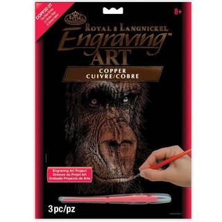 Royal Brush Copper Foil Engraving Art Kit 8 """" X10 """" Den kloge simian