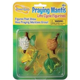 Bedende mantis 4 stykker livscyklusfigurer - 2 """" Bug legetøj af insektlore