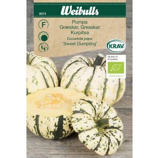 Græskarfrø (Cucurbita pepo 'Sweet Dumpling') Økologisk
