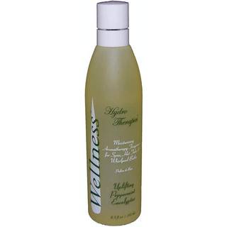 Wellness 4512112 Spa duft 240 ml Pebermynte/eukalyptus