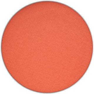MAC Cosmetics Matte Eye Shadow Pro Palette Refill Red Brick
