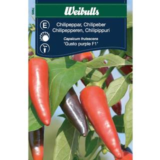 Chilifrø (Chili 'Gusto Purple F1')