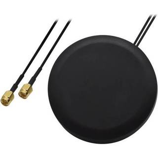 Teltonika PR1KCL25 antenne SMA 2,5 dBi