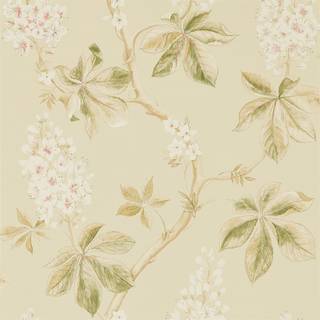 Chestnut Tree Coral/Bayleaf - DWOW215709