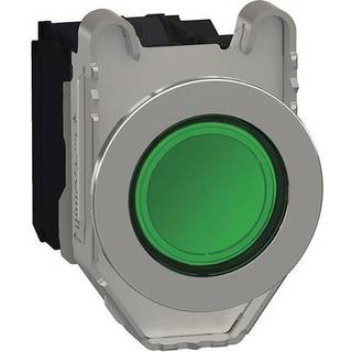 Schneider Lampetryk flush komp grøn led 110v no+nc