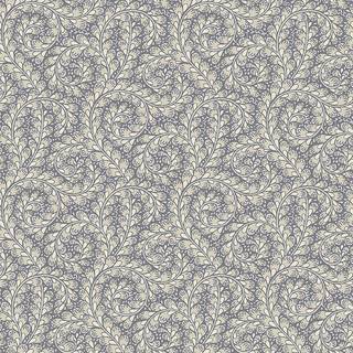 Wild Ferns - 2256