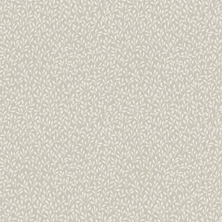 Saga - Beige