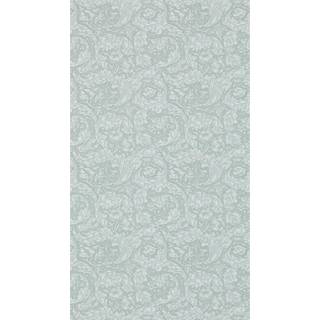 Bachelors Button Silver - DM3W214735