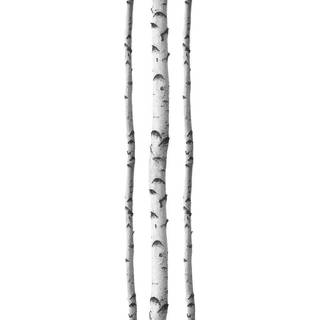 WALLPOPS DWPK2756 Ssilver Birches Wall Art Kit White & Off-White