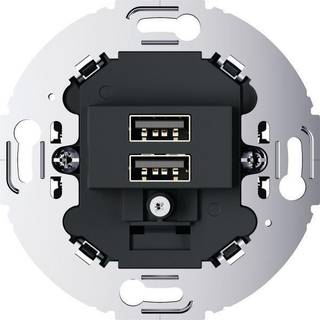 Berker Usb ladeudtag 3a r.c/1930 antracit