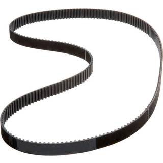 Gates T244 Premium Automotive Timing Belt
