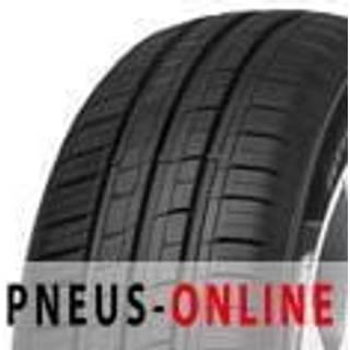 Minerva F 209  205/55R16 91W