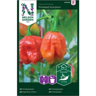 Chilipeber 'Trinidad Scorpion'
