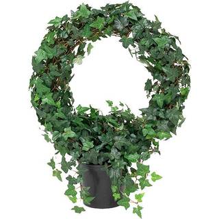Mr Plant, Vedbend 85 cm