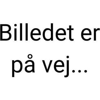 Zink Calls Lokkekald - NOS Nightmare on stage - Canadagæs