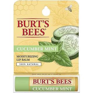 Burt's bier agurk mynt fugtighedsbelægning til kvinder orange 0,15 oz