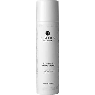 BIGELIUS Skincare Mattifying Facial Cream 100 ml