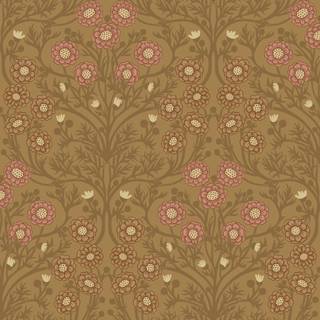 Bellis - Brown